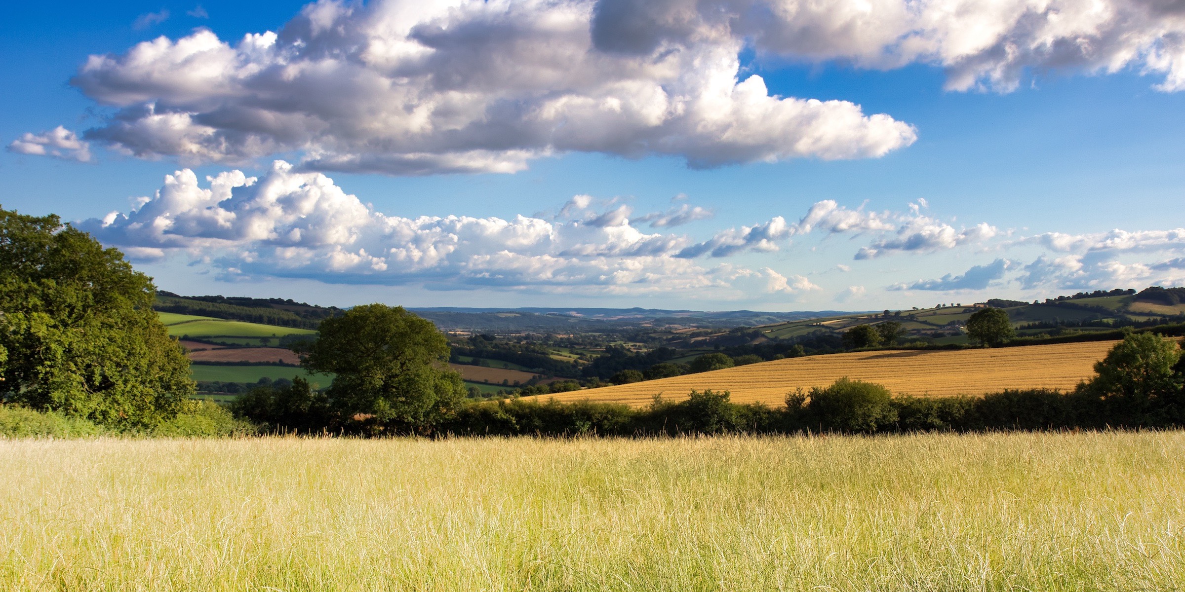 bed breakfast bickleigh, bed breakfast tiverton, accommodation bickleigh, accommodation tiverton